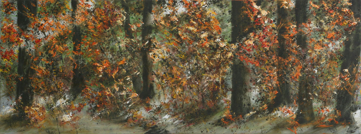 Bomen Bos Beek 12