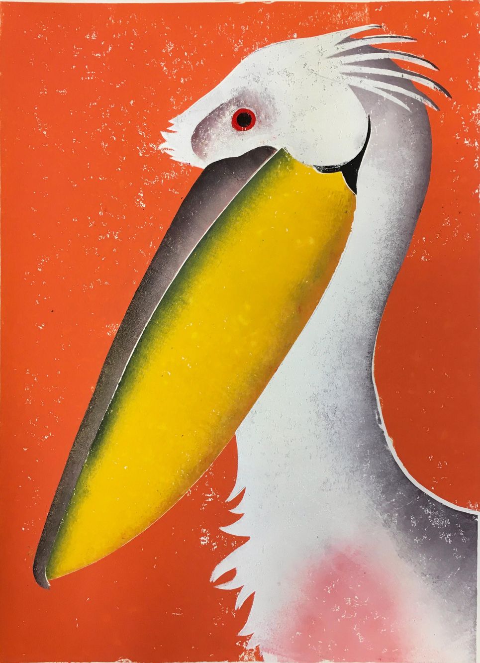 Pelikaan
