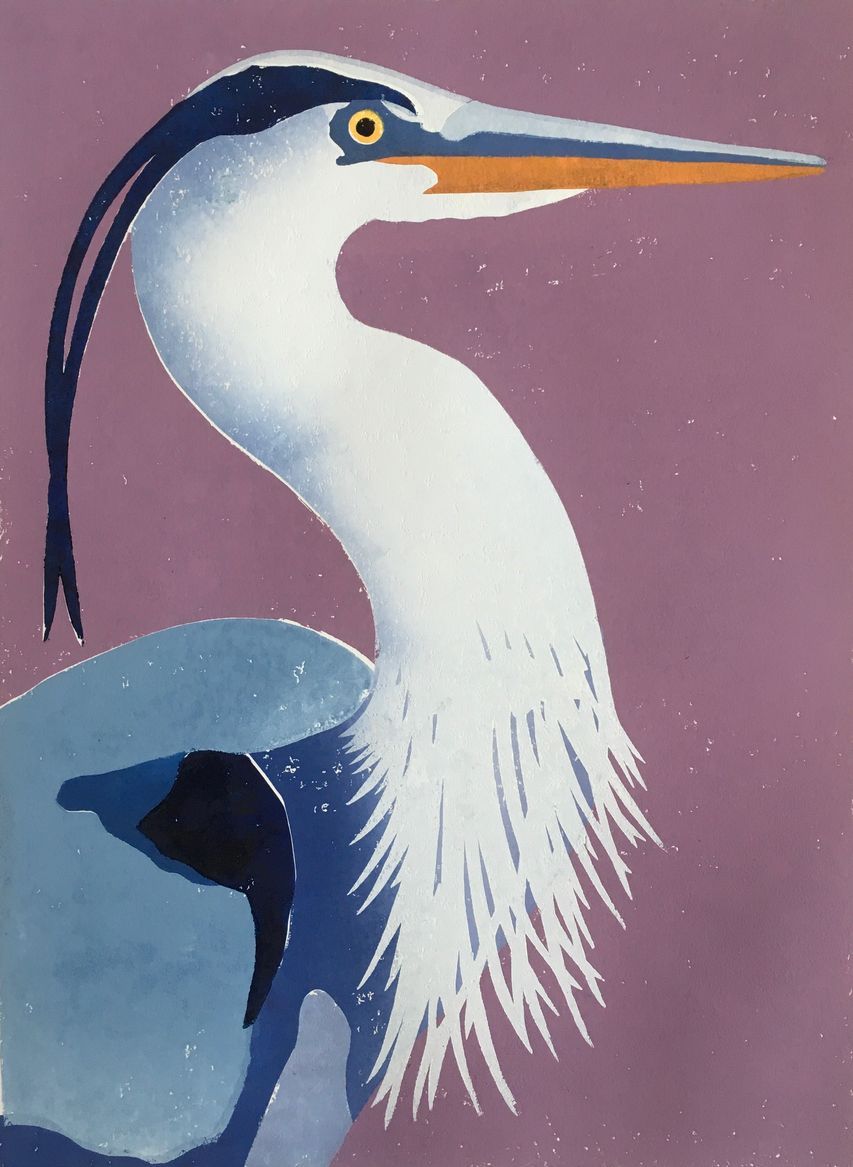 Blauwe reiger