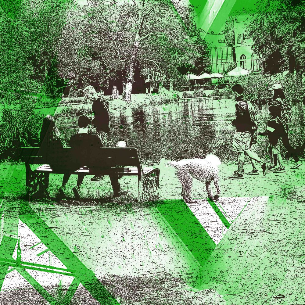 Vijver in het Vondelpark