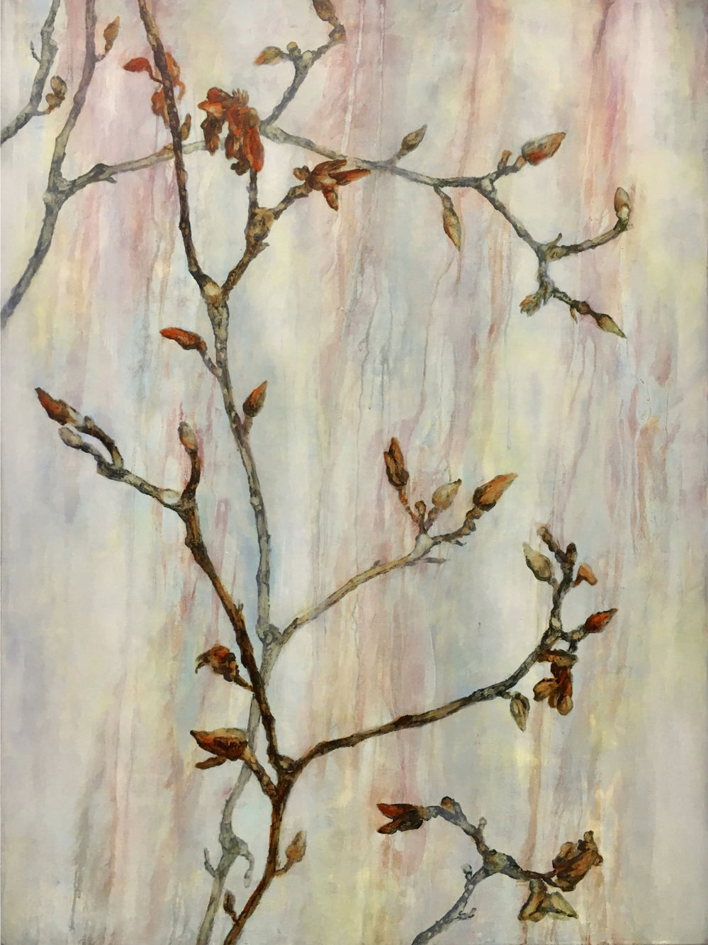 Magnoliatak IV