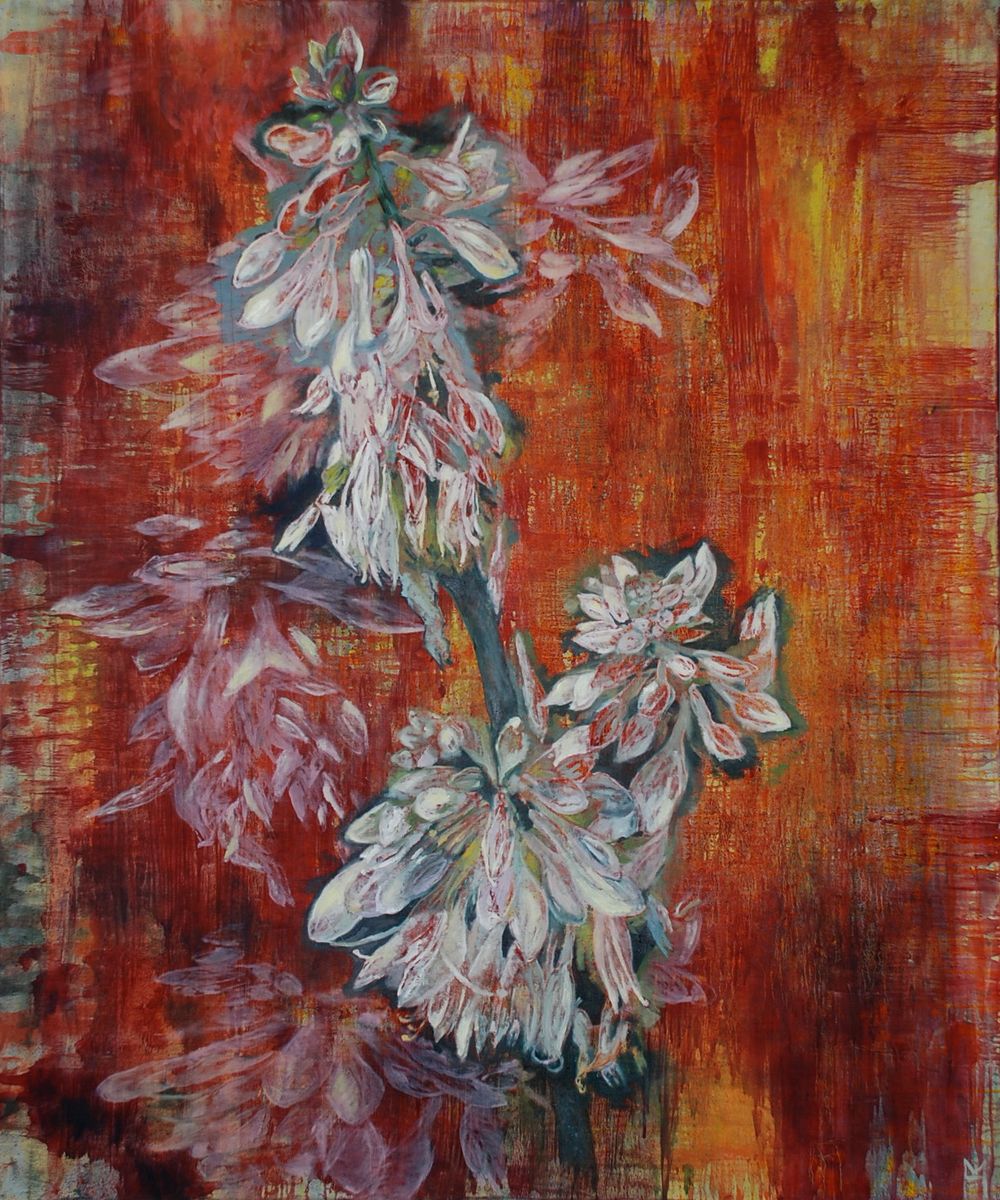Hosta II