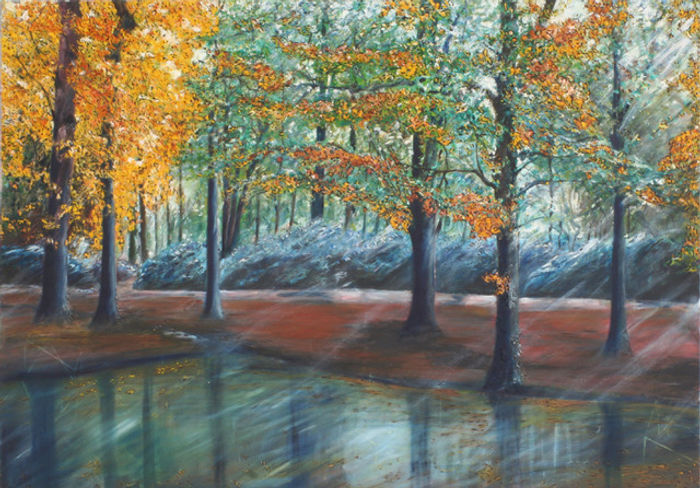 Bomen Park Kleve 3