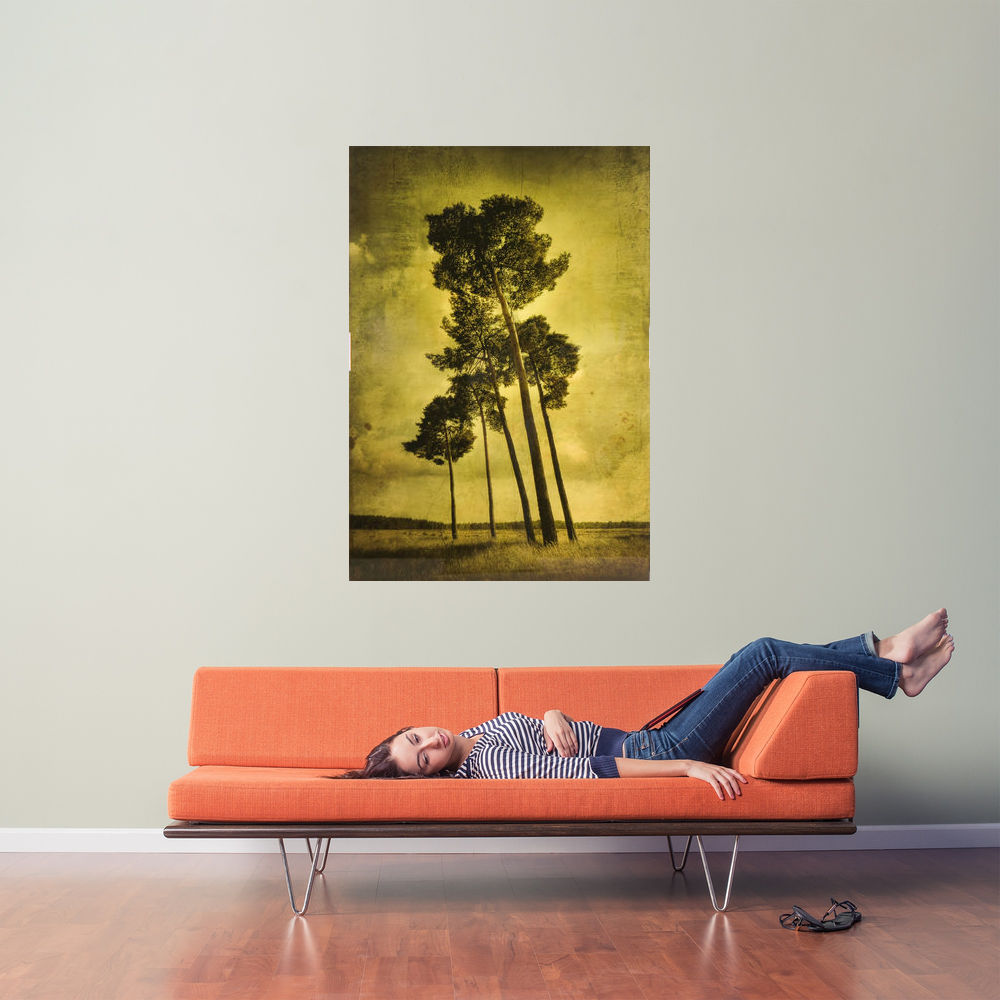 5 Trees